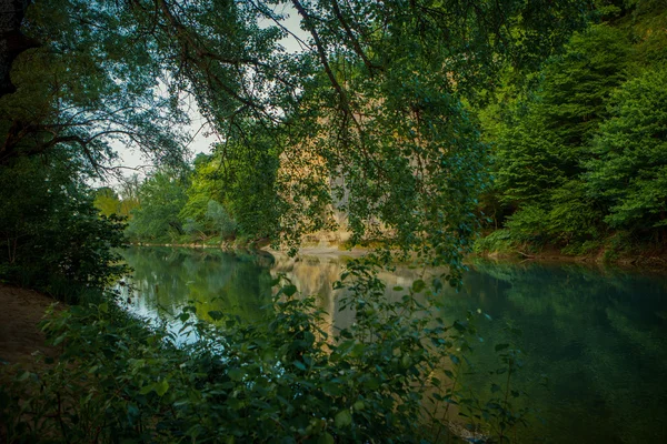 Forêt fluviale et le rivage, un rocher sur le bord de la rivière — Photo