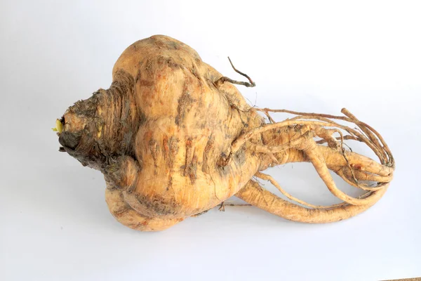 Celery root on white background — Stock Photo, Image