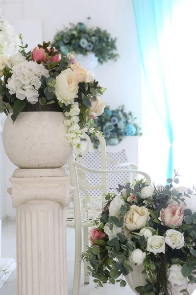 Piękne kwiaty w doniczce biały — Zdjęcie stockowe