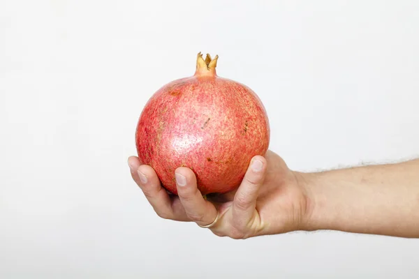 Man's hand holds a red garnet — Stock Photo, Image