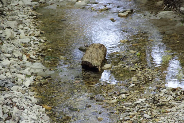 Rio de montanha com um fundo rochoso — Fotografia de Stock