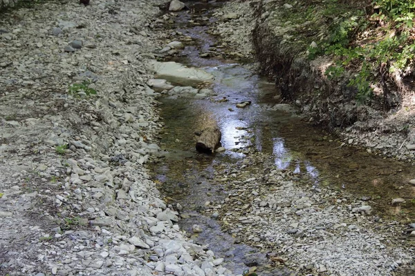 Rivière de montagne avec un fond rocheux — Photo