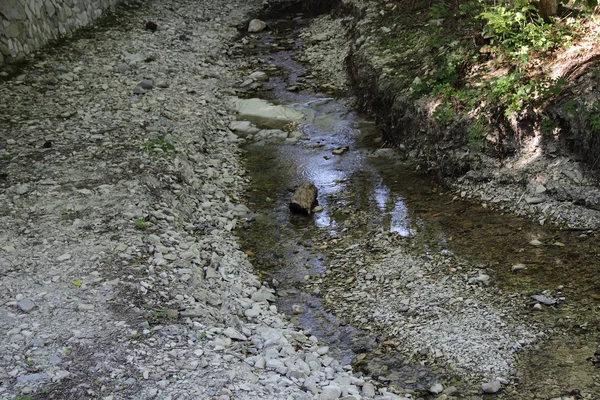Горная река с каменистым дном — стоковое фото