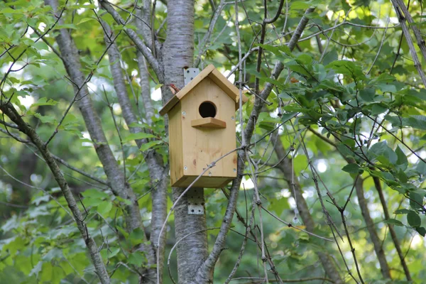 木製巣箱鳥の家 — ストック写真