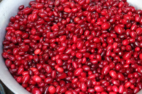 Bayas de Cornel rojas maduras en una cuenca de cobre — Foto de Stock