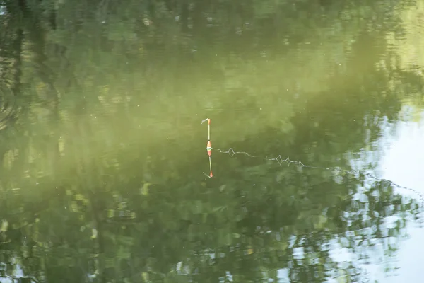 Drijven op het rivierwater, vissen — Stockfoto