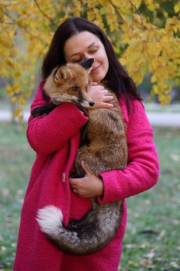 Kız canlı bir tilki tutuyor