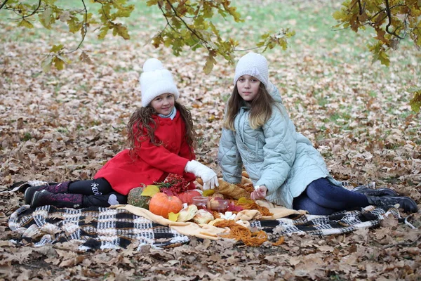 Two Girls Autumn Park Having Picnic — Stock Photo, Image