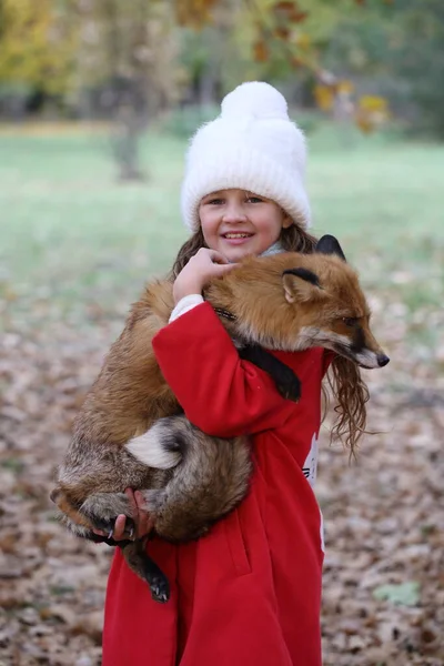 Meisje Met Vos Haar Armen Het Herfstpark — Stockfoto