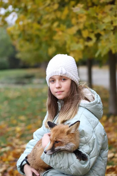 Dívka Červenou Liškou Podzimním Parku — Stock fotografie