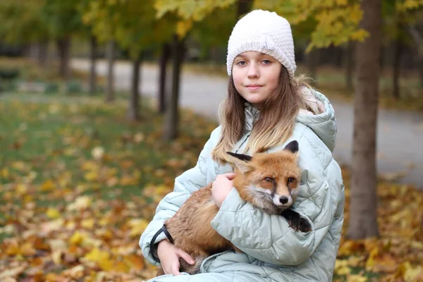 Een Meisje Met Een Rode Vos Het Herfstpark — Stockfoto