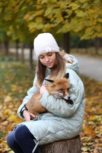 Een Meisje Met Een Rode Vos Het Herfstpark — Stockfoto