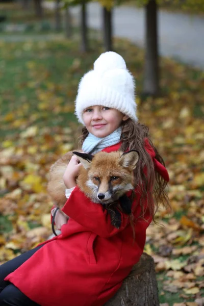 Een Meisje Een Rode Jas Houdt Een Vos Vast — Stockfoto