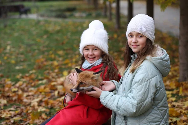 Vos Armen Van Meisjes Het Park — Stockfoto