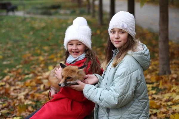 Vos Armen Van Meisjes Het Park — Stockfoto