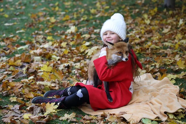 Chica Camina Con Zorro Parque —  Fotos de Stock