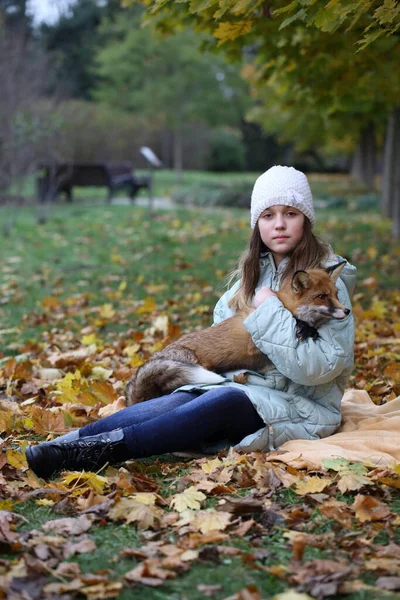 Rode Vos Armen Van Een Meisje — Stockfoto