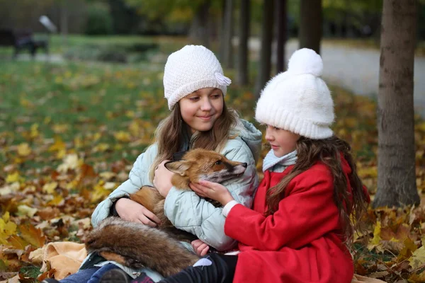 Vos Armen Van Meisjes Het Park — Stockfoto