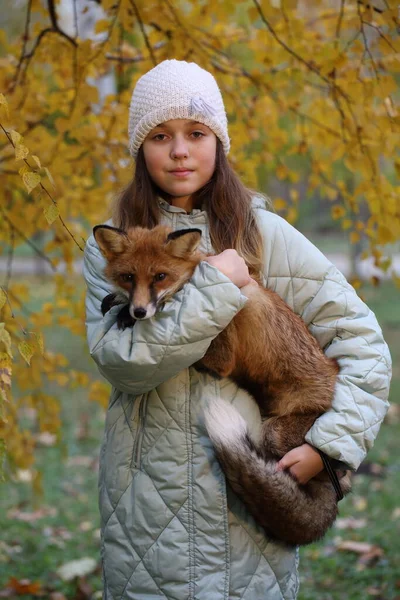 Een Meisje Met Een Rode Vos Het Herfstpark — Stockfoto