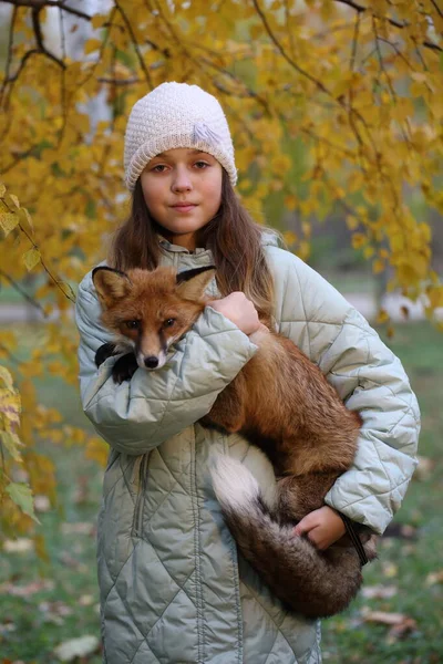 Een Meisje Met Een Rode Vos Het Herfstpark — Stockfoto