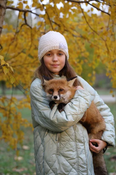 Dívka Červenou Liškou Podzimním Parku — Stock fotografie