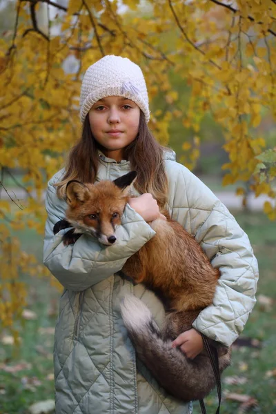 Een Meisje Een Rode Jas Houdt Een Vos Vast — Stockfoto