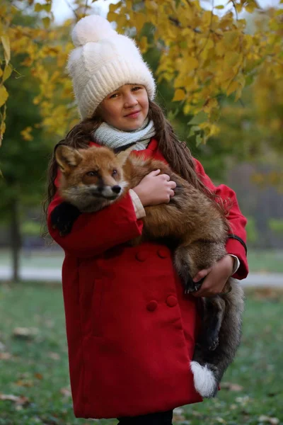 Meisje Met Een Vos Haar Armen — Stockfoto