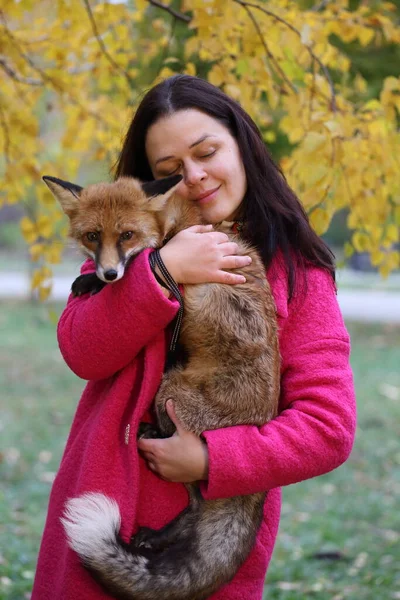 Fox Armen Van Het Meisje — Stockfoto