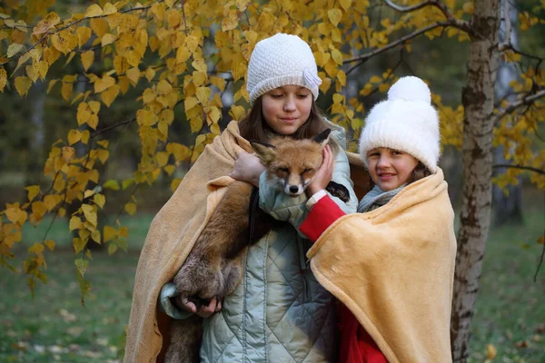 Twee Meisjes Het Park Spelen Met Een Vos — Stockfoto