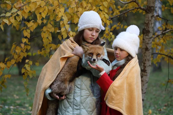 Δύο Κορίτσια Στο Δάσος Κοιτούν Την Αλεπού — Φωτογραφία Αρχείου
