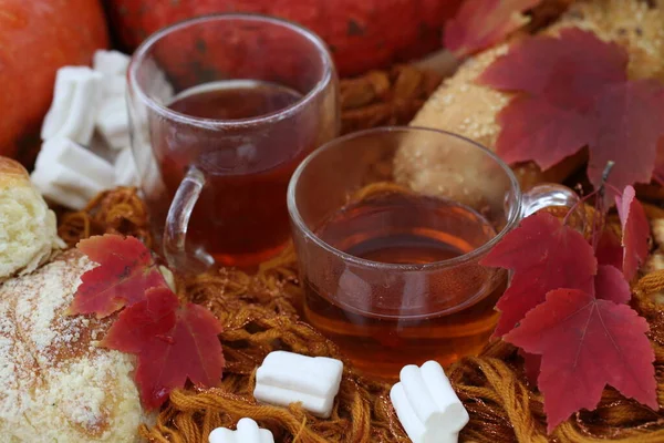 Picnic Con Zucca Pasticcini Alla Frutta Nel Parco Autunnale — Foto Stock