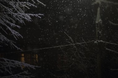 Geceleri bir ağacın dallarında kar, bir fenerin ışığında.