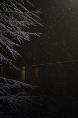Geceleri bir ağacın dallarında kar, bir fenerin ışığında.