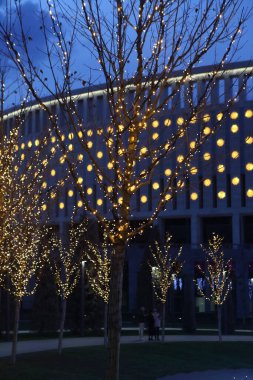 Parkın güzel gece aydınlatması. Kışın park et.