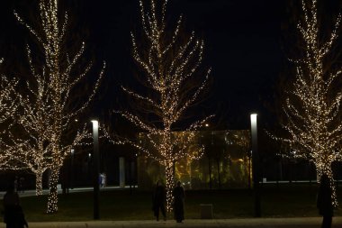 Parkın güzel gece aydınlatması. Kışın park et.