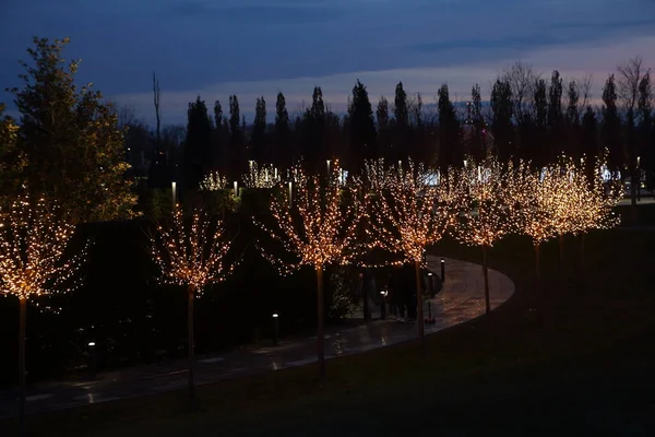 Bela Iluminação Noturna Parque Parque Inverno — Fotografia de Stock