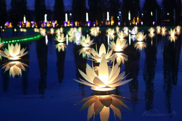 Bela Iluminação Noturna Parque Parque Inverno — Fotografia de Stock