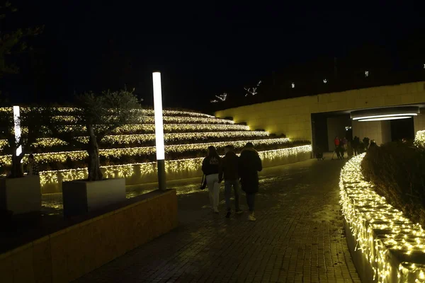 Bela Iluminação Noturna Parque Parque Inverno — Fotografia de Stock