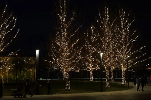 Bela Iluminação Noturna Parque Parque Inverno — Fotografia de Stock