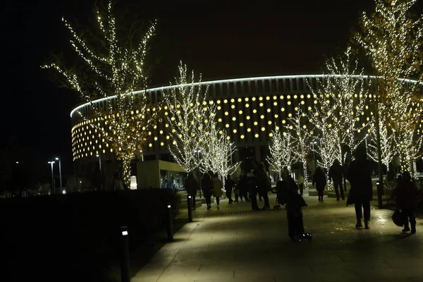 Bela Iluminação Noturna Parque Parque Inverno — Fotografia de Stock