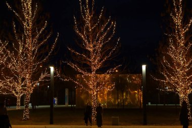 Güzel bir parkın gece aydınlığı