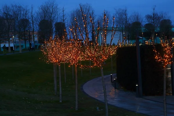 Ein Park Nächtliche Illumination Eines Schönen Parks — Stockfoto