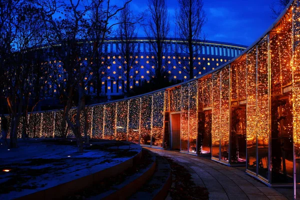 Ein Park Nächtliche Illumination Eines Schönen Parks — Stockfoto