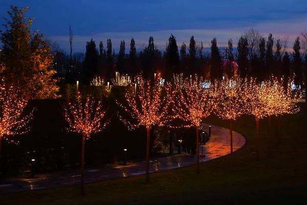 Parque Iluminação Noturna Belo Parque — Fotografia de Stock