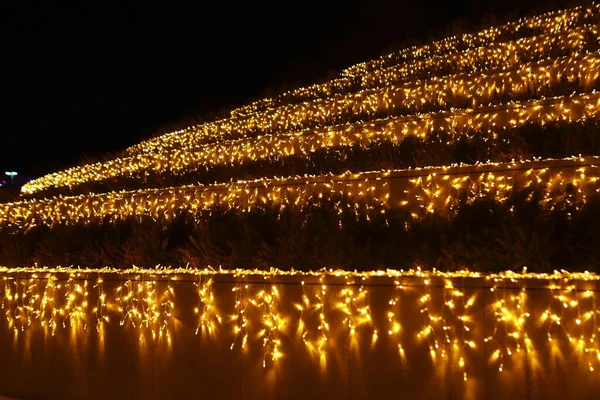 Parque Iluminação Noturna Belo Parque — Fotografia de Stock