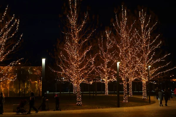 Night illumination of a beautiful park