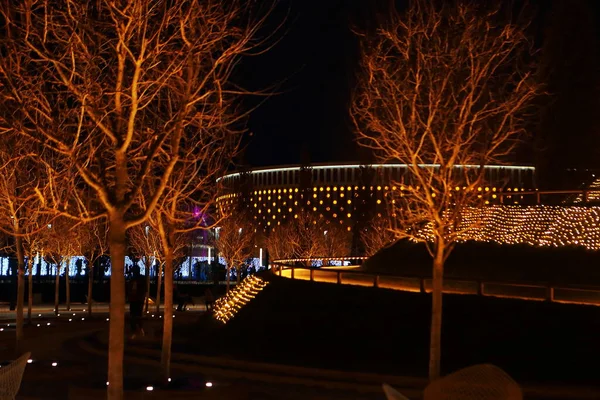 Nächtliche Illumination Eines Schönen Parks — Stockfoto