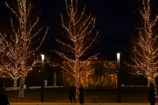 Nocne Oświetlenie Pięknego Parku — Zdjęcie stockowe