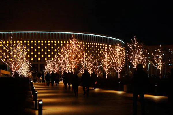 Iluminação Noturna Belo Parque — Fotografia de Stock