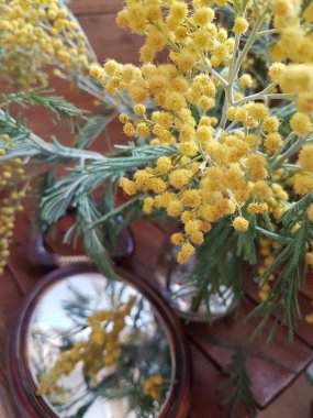 Kahverengi arka planda Mimosa buketi